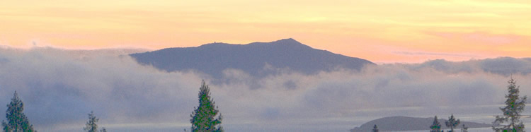 Mt. Tamalpais