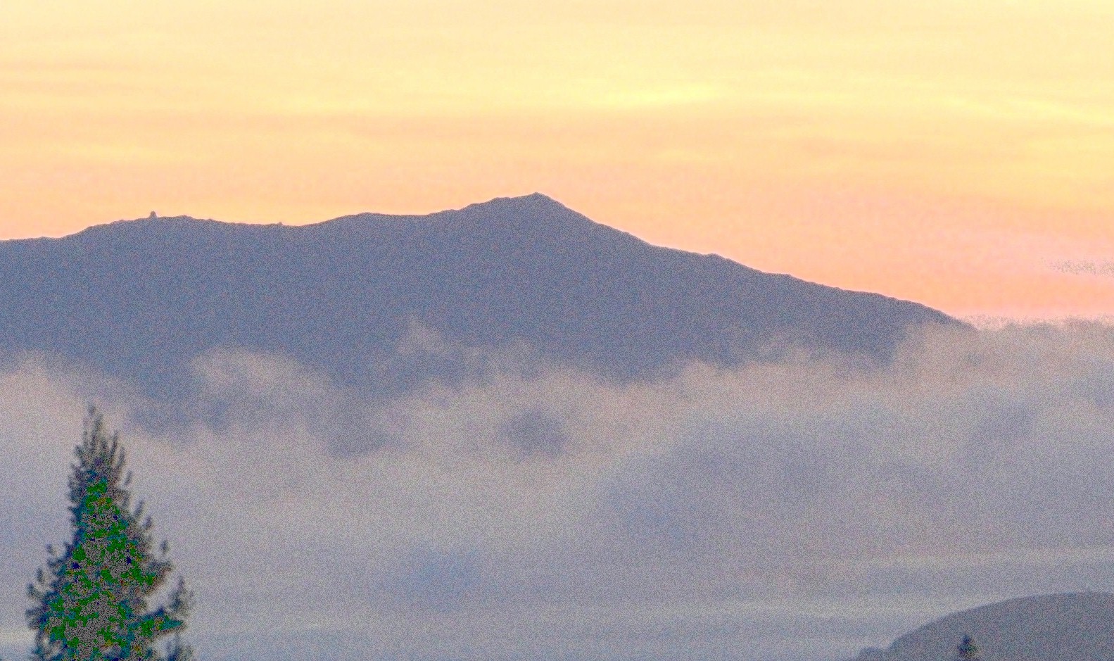 mt_tam_normal.jpg (445661 bytes)